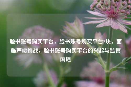 脸书账号购买平台，脸书账号购买平台2块，面临严峻挑战，脸书账号购买平台的兴起与监管困境