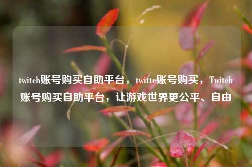 twitch账号购买自助平台，twitte账号购买，Twitch账号购买自助平台，让游戏世界更公平、自由