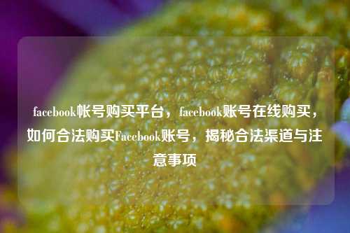 facebook帐号购买平台，facebook账号在线购买，如何合法购买Facebook账号，揭秘合法渠道与注意事项
