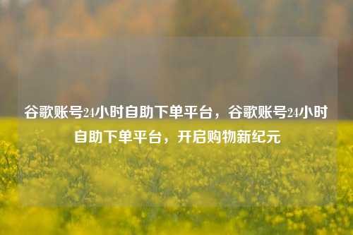 谷歌账号24小时自助下单平台，谷歌账号24小时自助下单平台，开启购物新纪元