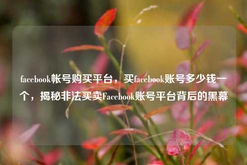 facebook帐号购买平台，买facebook账号多少钱一个，揭秘非法买卖Facebook账号平台背后的黑幕