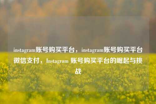 instagram账号购买平台，instagram账号购买平台微信支付，Instagram 账号购买平台的崛起与挑战