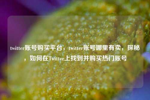 twitter账号购买平台，twitter账号哪里有卖，探秘，如何在Twitter上找到并购买热门账号