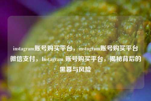 instagram账号购买平台，instagram账号购买平台微信支付，Instagram 账号购买平台，揭秘背后的黑幕与风险
