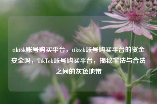 tiktok账号购买平台，tiktok账号购买平台的资金安全吗，TikTok账号购买平台，揭秘非法与合法之间的灰色地带