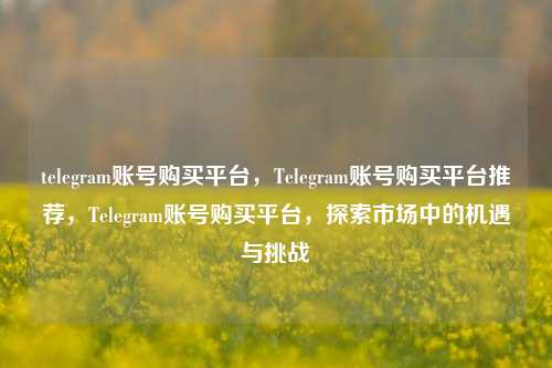 telegram账号购买平台，Telegram账号购买平台推荐，Telegram账号购买平台，探索市场中的机遇与挑战