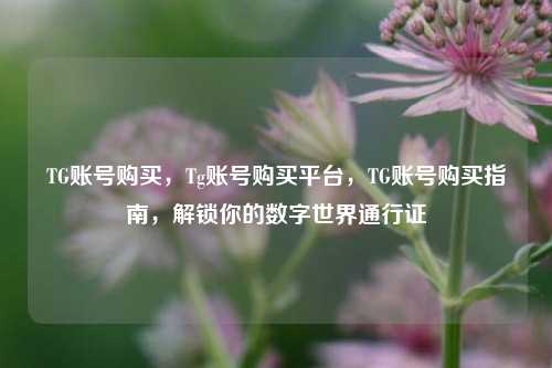 TG账号购买，Tg账号购买平台	，TG账号购买指南，解锁你的数字世界通行证  第1张