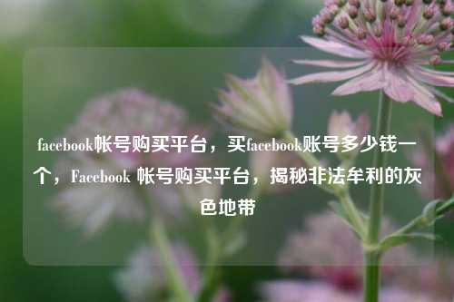 facebook帐号购买平台，买facebook账号多少钱一个，Facebook 帐号购买平台，揭秘非法牟利的灰色地带