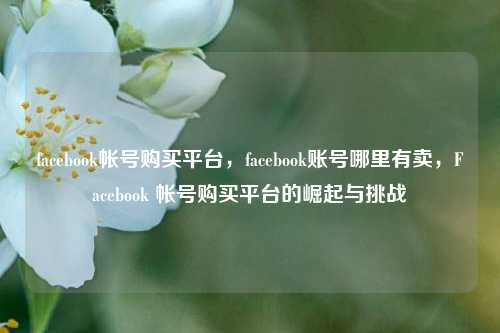 facebook帐号购买平台，facebook账号哪里有卖，Facebook 帐号购买平台的崛起与挑战  第1张