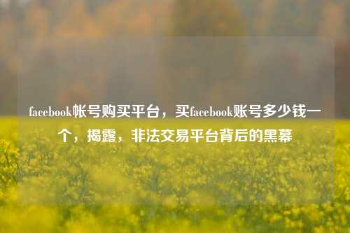 facebook帐号购买平台，买facebook账号多少钱一个，揭露，非法交易平台背后的黑幕