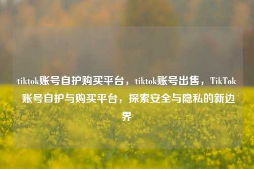 tiktok账号自护购买平台，tiktok账号出售，TikTok 账号自护与购买平台，探索安全与隐私的新边界