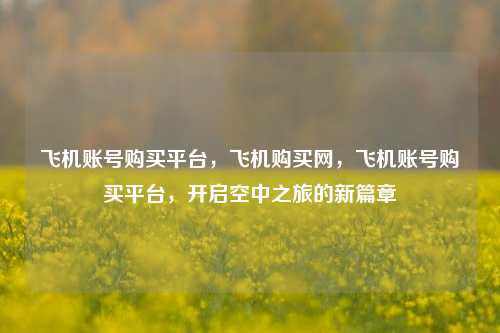 飞机账号购买平台，飞机购买网，飞机账号购买平台，开启空中之旅的新篇章