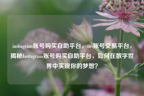 instagram账号购买自助平台，ins账号交易平台，揭秘Instagram账号购买自助平台，如何在数字世界中实现你的梦想？