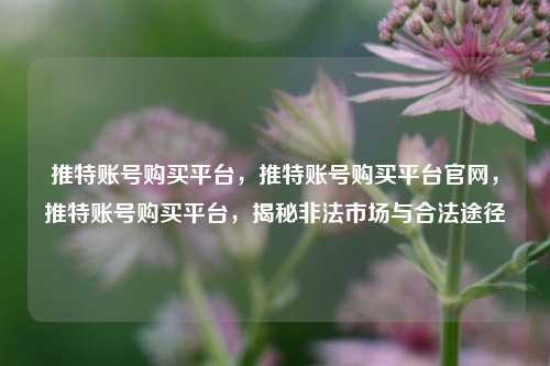 推特账号购买平台，推特账号购买平台官网，推特账号购买平台，揭秘非法市场与合法途径