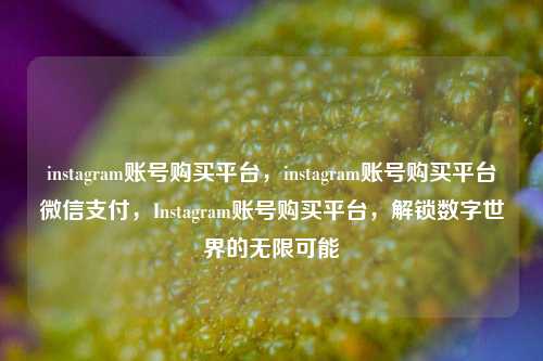 instagram账号购买平台，instagram账号购买平台微信支付，Instagram账号购买平台，解锁数字世界的无限可能