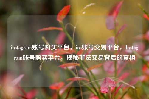 instagram账号购买平台，ins账号交易平台，Instagram账号购买平台，揭秘非法交易背后的真相