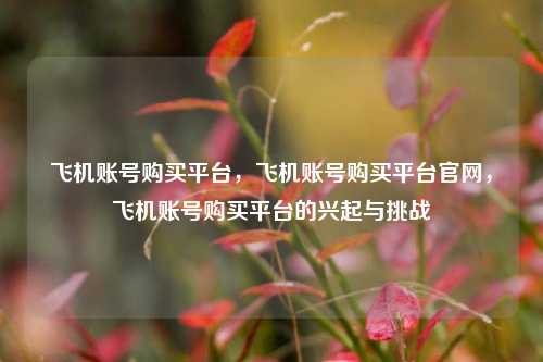 飞机账号购买平台，飞机账号购买平台官网	，飞机账号购买平台的兴起与挑战  第1张
