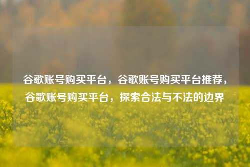 谷歌账号购买平台，谷歌账号购买平台推荐，谷歌账号购买平台，探索合法与不法的边界
