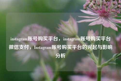 instagram账号购买平台，instagram账号购买平台微信支付，Instagram账号购买平台的兴起与影响分析  第1张