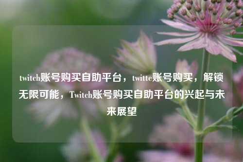 twitch账号购买自助平台，twitte账号购买，解锁无限可能，Twitch账号购买自助平台的兴起与未来展望