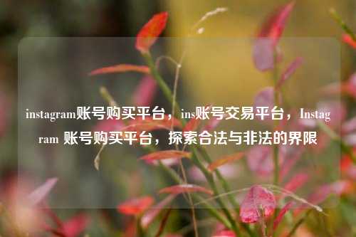instagram账号购买平台，ins账号交易平台，Instagram 账号购买平台，探索合法与非法的界限