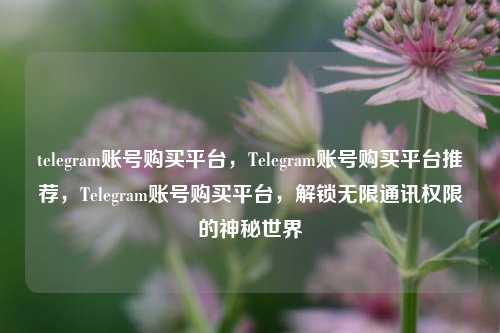 telegram账号购买平台，Telegram账号购买平台推荐，Telegram账号购买平台，解锁无限通讯权限的神秘世界