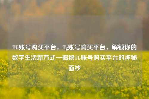 TG账号购买平台，Tg账号购买平台，解锁你的数字生活新方式—揭秘TG账号购买平台的神秘面纱