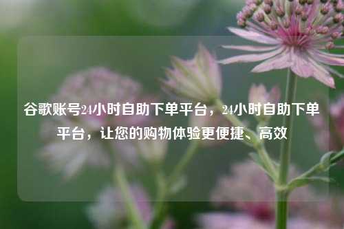 谷歌账号24小时自助下单平台，24小时自助下单平台，让您的购物体验更便捷、高效