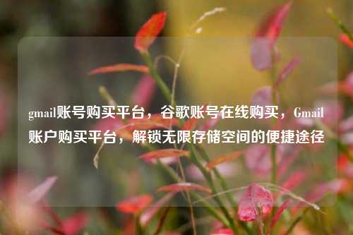 gmail账号购买平台，谷歌账号在线购买，Gmail账户购买平台，解锁无限存储空间的便捷途径