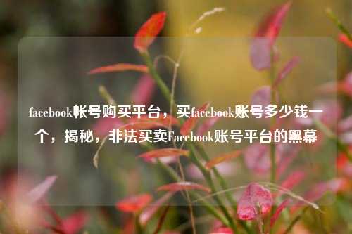 facebook帐号购买平台，买facebook账号多少钱一个，揭秘，非法买卖Facebook账号平台的黑幕