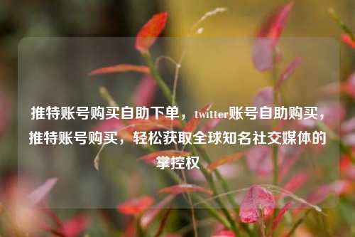 推特账号购买自助下单，twitter账号自助购买，推特账号购买，轻松获取全球知名社交媒体的掌控权