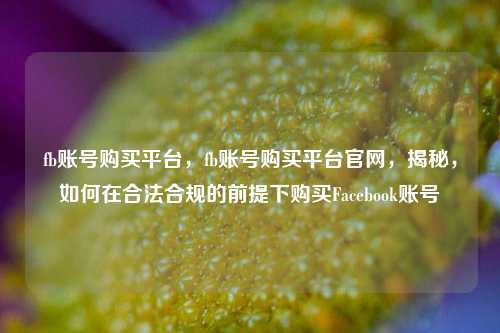 fb账号购买平台，fb账号购买平台官网，揭秘，如何在合法合规的前提下购买Facebook账号