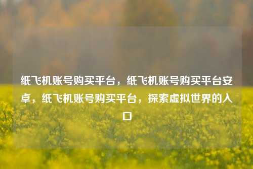 纸飞机账号购买平台	，纸飞机账号购买平台安卓，纸飞机账号购买平台，探索虚拟世界的入口  第1张