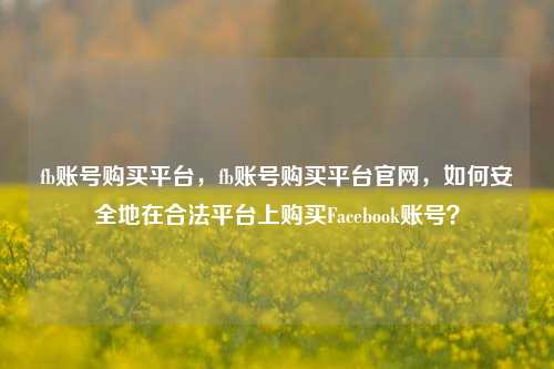 fb账号购买平台，fb账号购买平台官网，如何安全地在合法平台上购买Facebook账号？