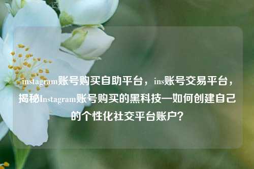 instagram账号购买自助平台，ins账号交易平台，揭秘Instagram账号购买的黑科技—如何创建自己的个性化社交平台账户？
