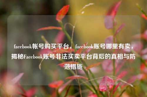 facebook帐号购买平台，facebook账号哪里有卖，揭秘Facebook账号非法买卖平台背后的真相与防范措施