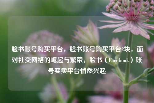 脸书账号购买平台，脸书账号购买平台2块，面对社交网络的崛起与繁荣，脸书（Facebook）账号买卖平台悄然兴起