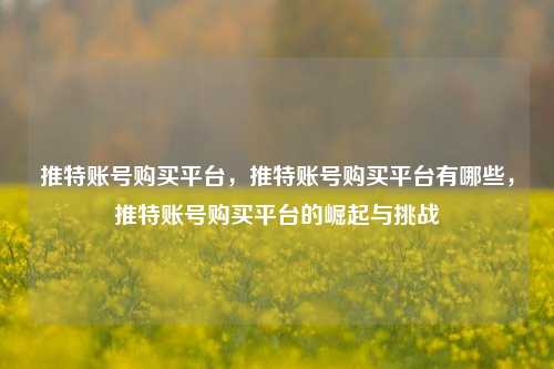 推特账号购买平台，推特账号购买平台有哪些，推特账号购买平台的崛起与挑战