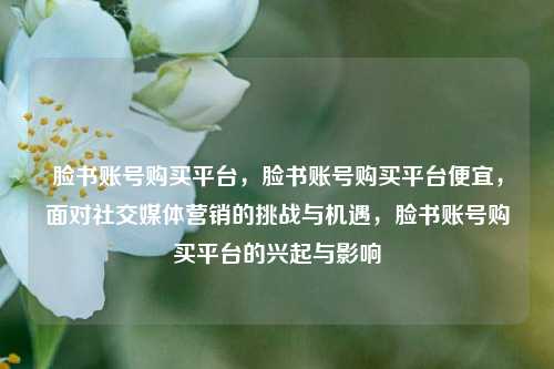 脸书账号购买平台，脸书账号购买平台便宜，面对社交媒体营销的挑战与机遇，脸书账号购买平台的兴起与影响