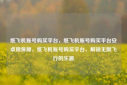 纸飞机账号购买平台，纸飞机账号购买平台安卓用保障，纸飞机账号购买平台，解锁无限飞行的乐趣