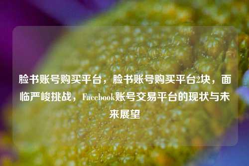 脸书账号购买平台，脸书账号购买平台2块，面临严峻挑战，Facebook账号交易平台的现状与未来展望