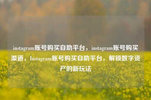 instagram账号购买自助平台，instagram账号购买渠道，Instagram账号购买自助平台，解锁数字资产的新玩法
