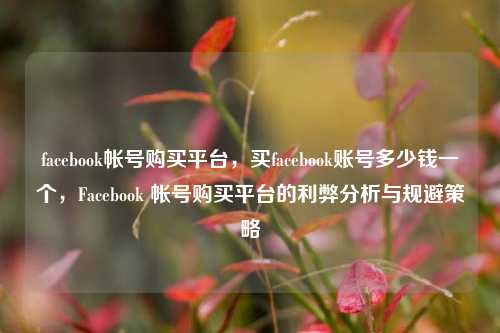 facebook帐号购买平台，买facebook账号多少钱一个，Facebook 帐号购买平台的利弊分析与规避策略