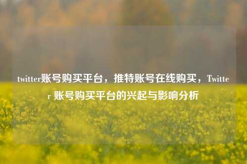 twitter账号购买平台，推特账号在线购买，Twitter 账号购买平台的兴起与影响分析
