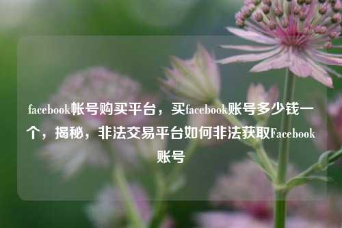 facebook帐号购买平台，买facebook账号多少钱一个，揭秘，非法交易平台如何非法获取Facebook账号