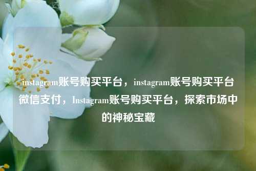 instagram账号购买平台，instagram账号购买平台微信支付，Instagram账号购买平台，探索市场中的神秘宝藏