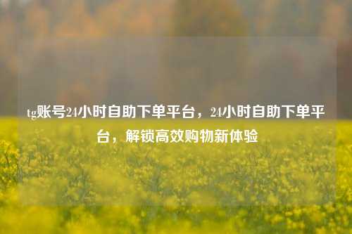 tg账号24小时自助下单平台，24小时自助下单平台，解锁高效购物新体验