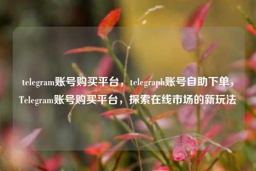telegram账号购买平台，telegraph账号自助下单，Telegram账号购买平台，探索在线市场的新玩法