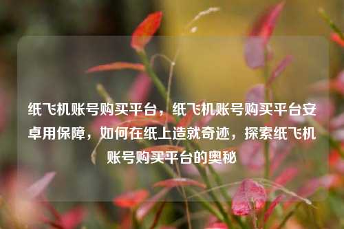 纸飞机账号购买平台，纸飞机账号购买平台安卓用保障，如何在纸上造就奇迹，探索纸飞机账号购买平台的奥秘
