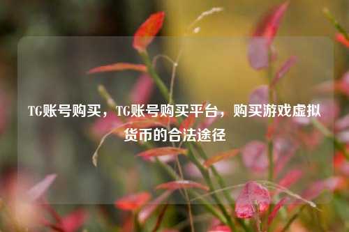 TG账号购买，TG账号购买平台，购买游戏虚拟货币的合法途径